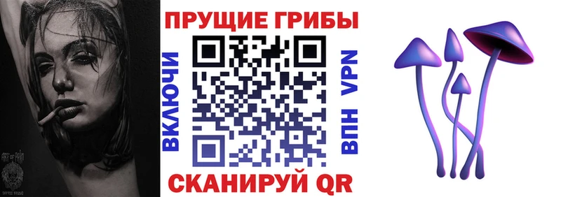 Галлюциногенные грибы MAGIC MUSHROOMS  закладки  Уяр 
